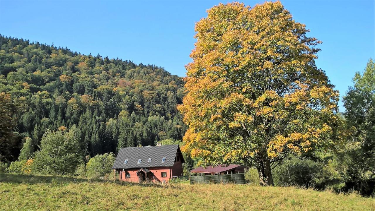 Krolikowka สโตรเนีย ชล็องสเกีย ภายนอก รูปภาพ