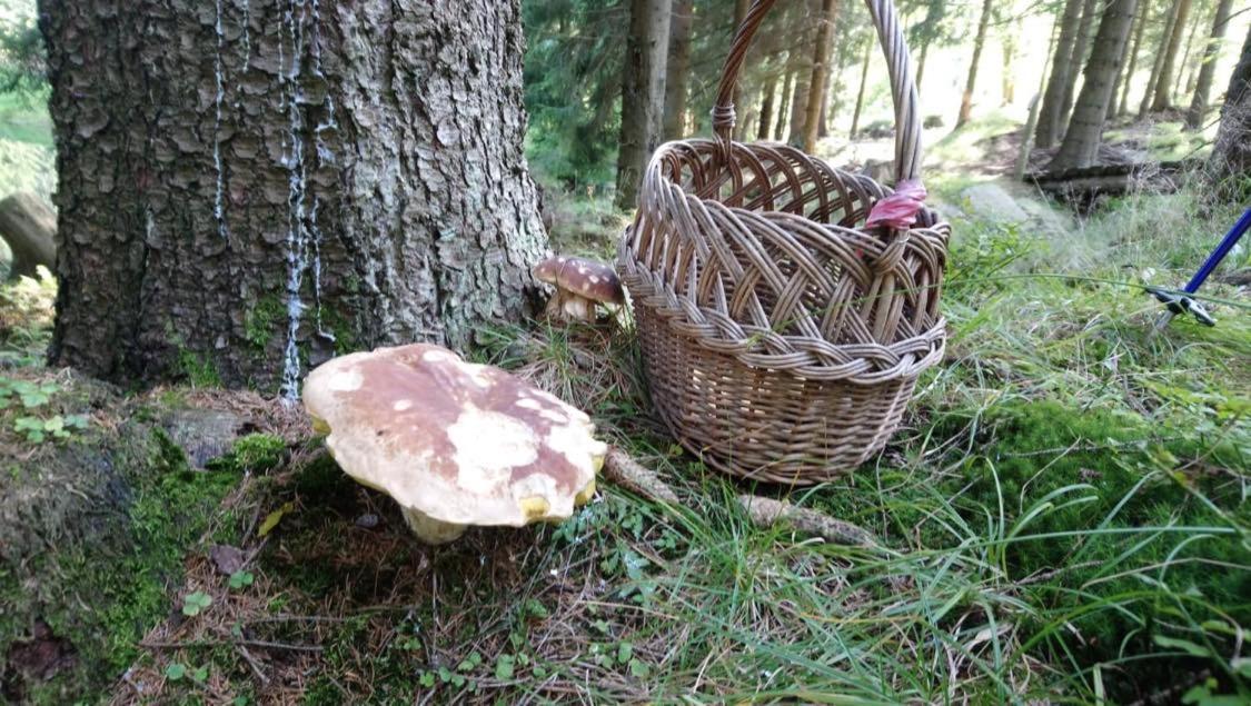 Krolikowka สโตรเนีย ชล็องสเกีย ภายนอก รูปภาพ
