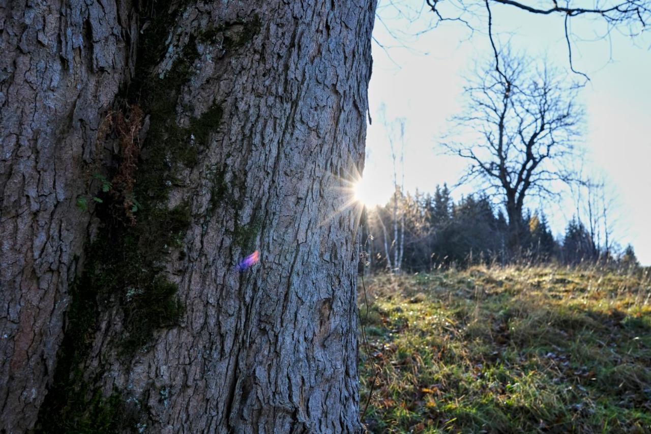 Krolikowka สโตรเนีย ชล็องสเกีย ภายนอก รูปภาพ