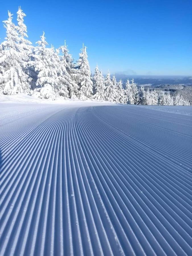 Krolikowka สโตรเนีย ชล็องสเกีย ภายนอก รูปภาพ